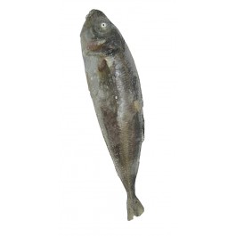 """CARAPAU """"CHINCHARD"""" GRAND SAC DE 1 KG"""