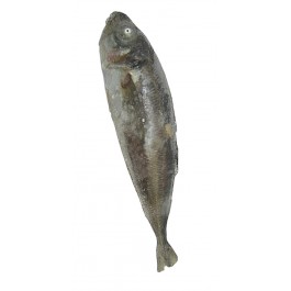 """CARAPAU """"CHINCHARD"""" PETIT SAC DE 1 KG"""