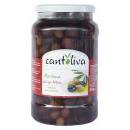 COQUILLOS NOSSOLIVA SEAU 800GR 