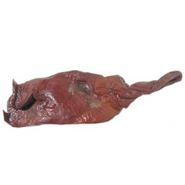 TETE DE COCHON FUMEE SERRA D'ALVA
