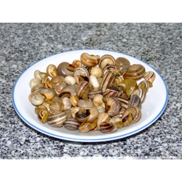 ESCARGOTS (Caracois) SURGELES CUITS 1KG