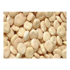 LUPIN SEC CAL 11/13 AU KG