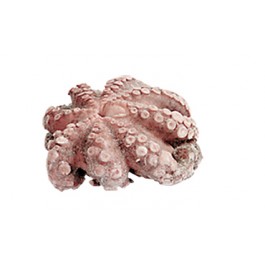 POULPE T4 MOYEN - 1.2 A 2KG AU KG 