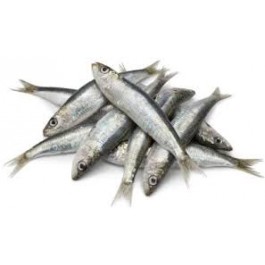 SARDINE PETITES PETINGA (870gr net) SAC 1KG