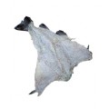 MORUE 04-06 A.BLANCHE NORVEGE