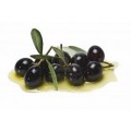 OLIVES CANTOLIVES R1 SEAU DE 5KG