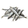 SARDINE PETITES PETINGA (870gr net) SAC 1KG