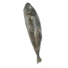 """CARAPAU """"CHINCHARD"""" GRAND SAC DE 1 KG"""