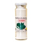 BICARBONATE DE SODIUM