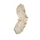 JOUES DE MORUE EN SAC  1KG - LUGRADE