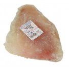 AILE DE RAIE SAC DE 850 Grs NET