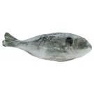 DAURADE C.DIAS SAC 1KG (900GR PLE)