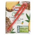 COMPAL BRICK 20 CL ANANAS X 24