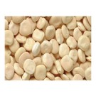 LUPIN SEC CAL 11/13 AU KG