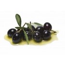 OLIVES CANTOLIVES R1 SEAU DE 5KG
