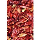 PIMENT FORT ENTIER 100GR. ESPIG
