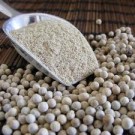 POIVRE BLANC ENTIER 100GR. ESPIG