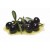 OLIVES CANTOLIVES R1 SEAU DE 5KG